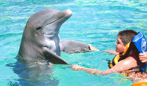 Cozumel y los delfines