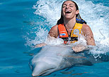 Entretenimiento e interacciÃ³n con delfines
