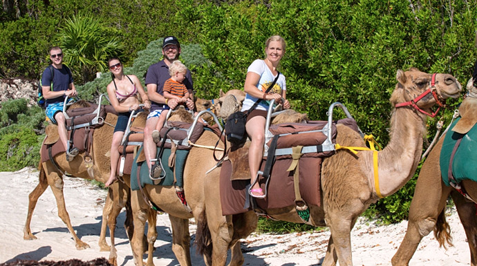 maroma camel safari tour